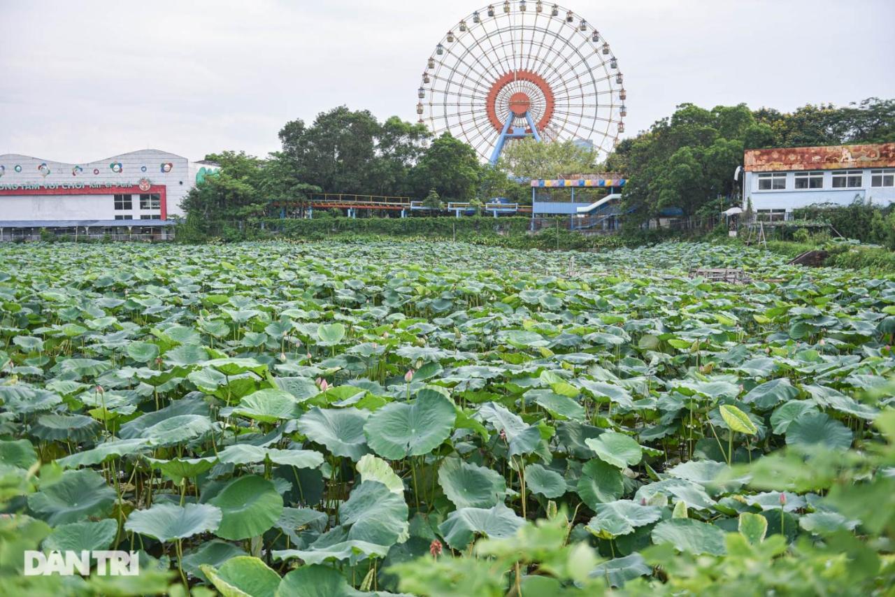 Best Price Ho Guom Apartments For Long Stay Hanoi Dış mekan fotoğraf